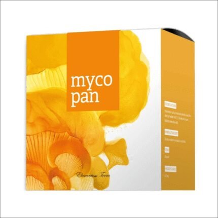 Joint pain and inflammation - ENERGY Mycopan