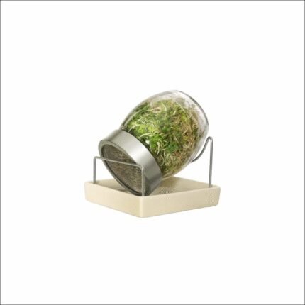 Dificultad para germinar semillas higiénicamente en casa - Germination jar with stand 700 ml