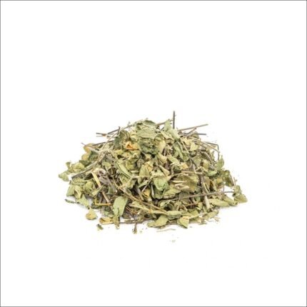 Kidney cleanse & urinary support – ShopHerbal Manayupa Leaf