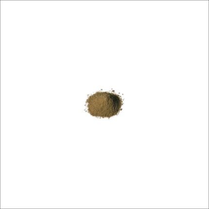 Bland or plain spaghetti lacking rich flavor - Variant For spaghetti