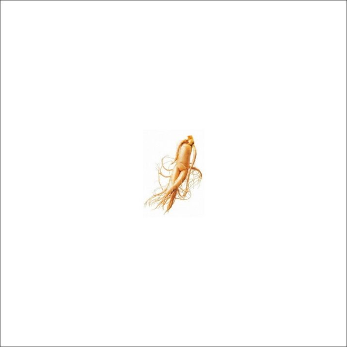 Хроническая усталость - Eleutherococcus (дьявольский корень) 50 г
