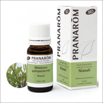 Заложенность дыхательных путей – Essential oil of niaouli Niaouli de PRANAROM 10 ml
