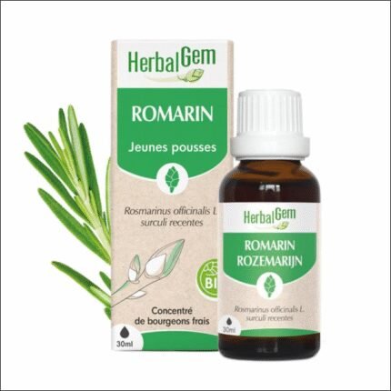 Mental fatigue and lack of focus - Rosemary concentrate Romarin BIO Gemmo Concentré HERBALGEM 30 ml