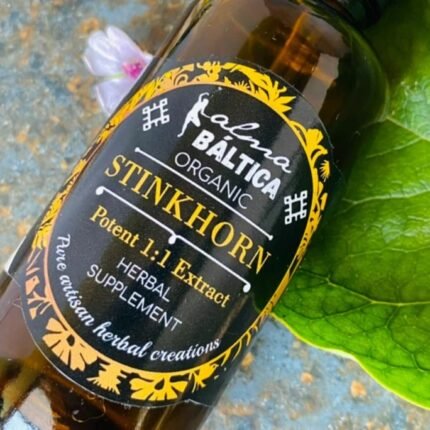 Supports immune function – STINKHORN EXTRACT