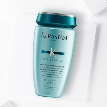 Resistance Force Architecte 250 ml – Kerastase